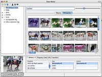 ShareMedia ShareMedia