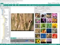 Ashampoo Photo Commander Free Ashampoo Photo Commander Free