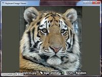 Keyboard Image Viewer Keyboard Image Viewer