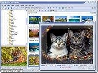 FastStone Image Viewer FastStone Image Viewer
