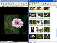 Ai Picture Explorer Ai Picture Explorer