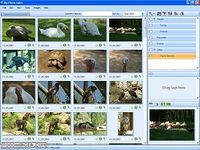 MyPhotoIndex MyPhotoIndex