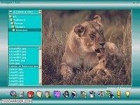 Images ! XXL Images ! XXL