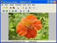 AD Picture Viewer AD Picture Viewer
