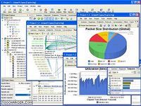 Network Traffic Monitor Analysis Report Network Traffic Monitor Analysis Report
