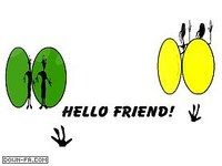 Friend to Friend Friend to Friend