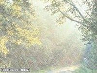 VisualEffectFog VisualEffectFog