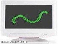 WormScanner WormScanner
