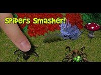 Écrase les araignées