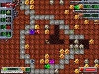 Treasure Mole Treasure Mole