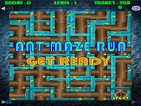 Ant Run Maze Ant Run Maze