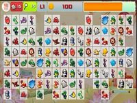 Onet New Animal Onet New Animal