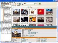 Music Collector Music Collector