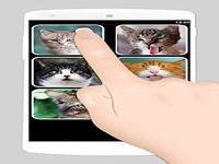 Faux appel chat 2 Faux appel chat 2