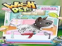 Lavez Animaux Lavez Animaux