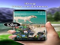 Dog on Screen Joke - iDog Dog on Screen Joke - iDog