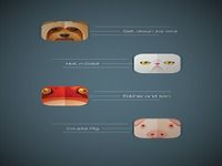 Animals in Casuals Animals in Casuals