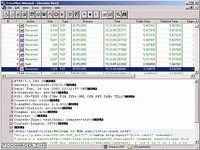 TracePlus Winsock TracePlus Winsock