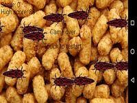 Kill bugs Kill bugs