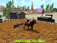 Bull Farming Bull Farming