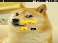 Doge says