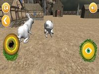 Lapin réel Simulator Lapin réel Simulator