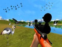 La chasse aux oiseaux Jungle La chasse aux oiseaux Jungle