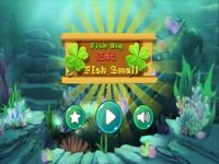 Big Fish Eat petits poissons Big Fish Eat petits poissons