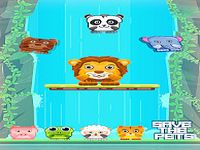 zoo pet rescue : pete cat zoo pet rescue : pete cat