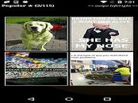 Funny Pics LOL Pro Funny Pics LOL Pro