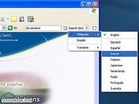 Wikipedia Search Bar Wikipedia Search Bar