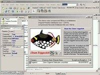 Absolute Database Absolute Database