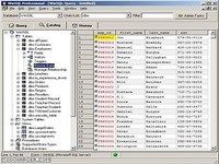 WinSQL lite WinSQL lite