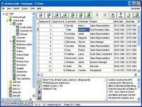 Database Viewer-Editor Database Viewer-Editor