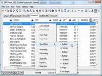 DBFViewer 2000 DBFViewer 2000