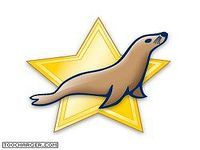 MariaDB MariaDB