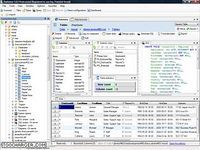 DatAdmin Professional DatAdmin Professional