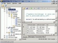 ScimoreDB Distributed Server ScimoreDB Distributed Server