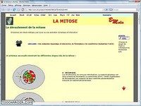 La mitose La mitose