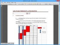 Les cycles féminins et la fécondation