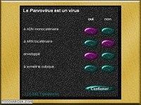 Les Virus Les Virus