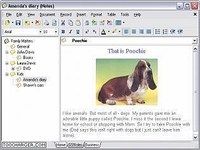 GoldenSection Notes GoldenSection Notes
