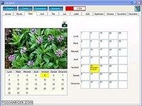 Calendcd Calendcd