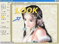 ScreenHunter Pro ScreenHunter Pro