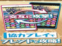 Puzzle  Dragons Puzzle  Dragons