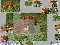 X-plosive JigSaw X-plosive JigSaw