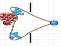 Lasso Puzzle Lasso Puzzle