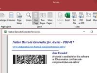 Access PDF417 Barcode Generator Access PDF417 Barcode Generator