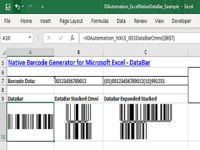 Excel GS1 DataBar Barcode Generator Excel GS1 DataBar Barcode Generator