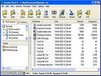 PicoZip PicoZip
